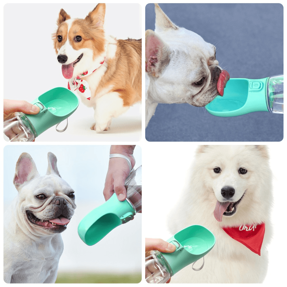 Outdoor Pet Dog Feeder Bowls Cats Dogs Travel Water Dispenser Feeder - Dealslust