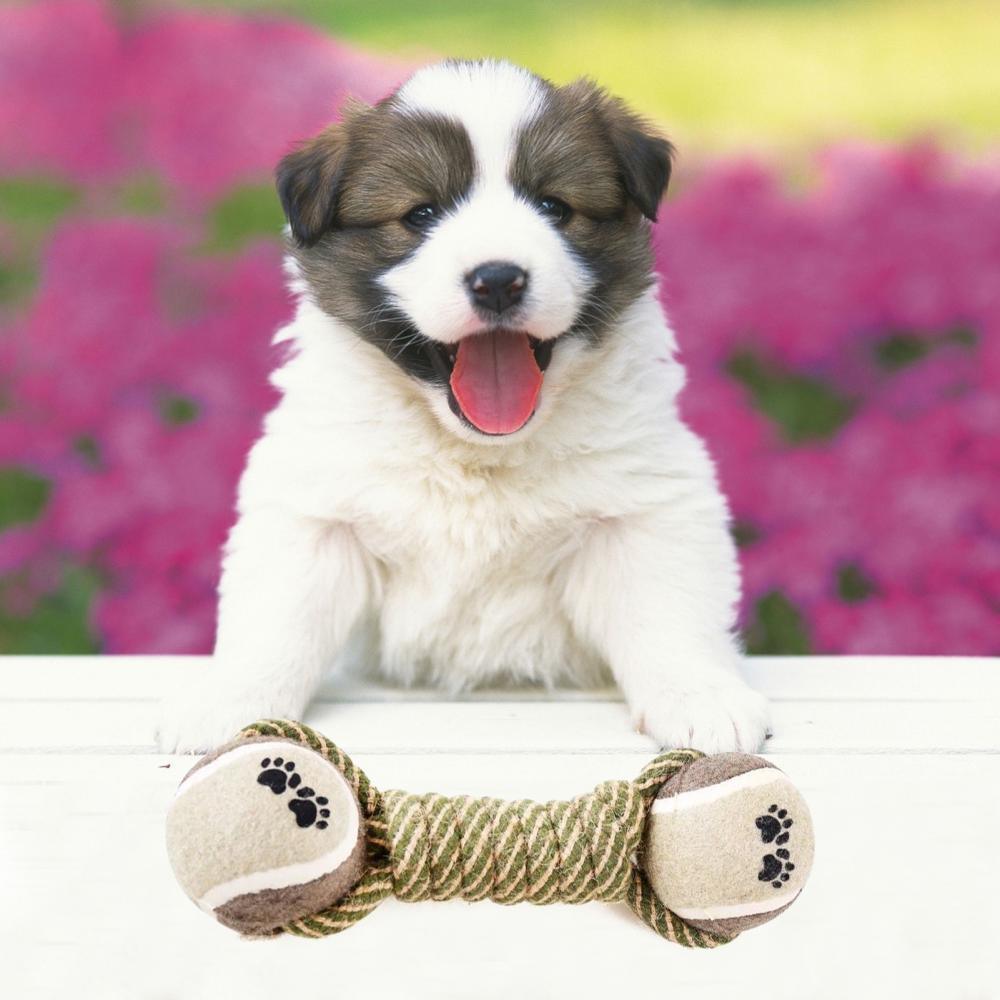 Pet Dog Toys For Large Small Dogs Toy Interactive Cotton Rope Mini Dog - Dealslust